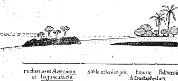 Profil de la c&ocirc;te pr&egrave;s de Kaporo