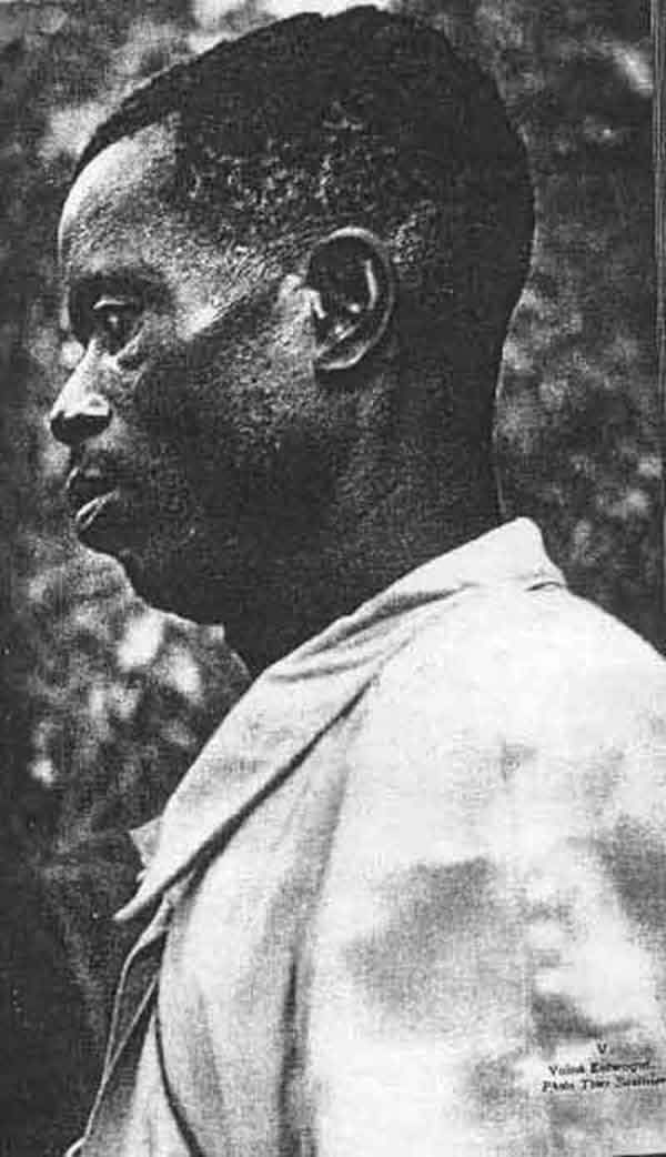 Voine Koywogi